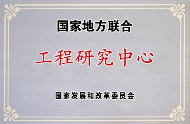 國家地方聯(lián)合工程研究中心